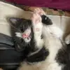 tessagregory930 - @tessagregory930 - TikTok