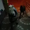 tessagrossy12 - @tessagrossy12 - TikTok