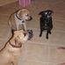 Tess Haney - Facebook