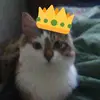 ribahato - @tessahardesty - TikTok