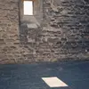 Tess Harrison - @tess.harrison1 - TikTok