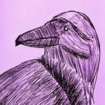 Tess Herman - @ladybird_drones - Instagram
