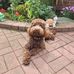 Tess Higgins - Facebook