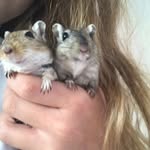 Tess - @tessmjarvis - Instagram