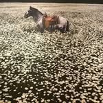 김정현 - @tesskim_jj - Instagram