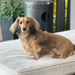 Tessie Koehler - @tk_girl_42 - Instagram