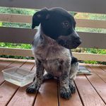 Lacey May - @lacey_tessier - Instagram
