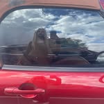 Tess Lambourne - @tess.lambourne - Instagram