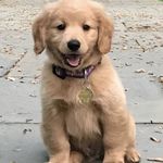 Tess Larson - @tesslarson706 - Instagram