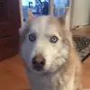 tessleighton - @tessleighton - TikTok