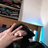 susieharrison879 - @tess_lowe200 - TikTok