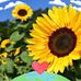 Tessa MacDonald  - Facebook