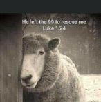 Tess Malone - Facebook