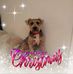 Tess Masters - Facebook