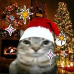 Tess May - Facebook