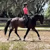 Tessa McDowell - @tessamcdowell871 - TikTok