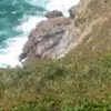 Tessa - @tess.mcmichael_ - TikTok