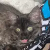 Tessa - @tess.mor23 - TikTok
