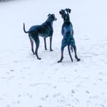 @tessnashandmilo - Instagram