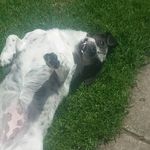 tess orr - @xxtessigxx - Instagram