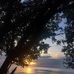 Tess page - Facebook