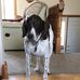 Teresa Patterson - Facebook