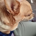 Tess Powers - Facebook