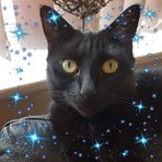 Tess Saunders - Facebook