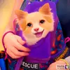 Tess Turner - @tess.zalitherescuechi - TikTok