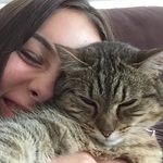 Tess Turner - @tess_the_cat_wow - Instagram