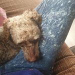 Tess Turner - @tess.turner.7796 - Instagram
