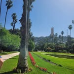 Jardin d'essai/ Jardin botanique du Hamma/حديقة التجارب الحامة - @hammabotanicgarden - Instagram