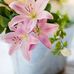 Teresa Bouchard - Facebook