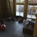 Tessa_cooper - @tessa_cooper1494 - Instagram