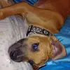tessacunningham86 - @tessacunningham86 - TikTok