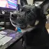Teresa Elder - @teresa.elder - TikTok