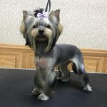 Tessa Ellis - @satiperlier265 - Instagram