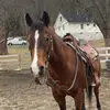Tessa - @tessagrimm222 - TikTok