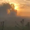 Tessa Hendrix - @hendybird - TikTok