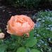 Tess Hutton - Facebook