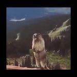 @akutessa50sheets - Instagram