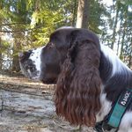 💕Tessa&Lily💕 - @tessaandlily_thespringers - Instagram
