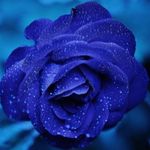 Tessa Wise - @blue.sky.aesthetic0 - Instagram