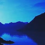 Tessa Wise - @savetheworld200 - Instagram
