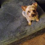 Tessibel Gorham Wilkinson - @tessibelgorhamwilkinson - Instagram