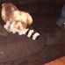 Tessibel Gorham Wilkinson - Facebook