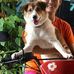 Tessie Abraham - Facebook