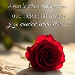 Deysi Acevedo - Facebook