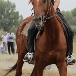 tessie cox - @tessie9267usgdv - Instagram