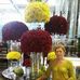 Tessie Go - Facebook
